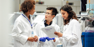 Researchers working in a lab